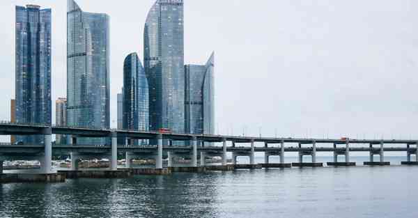 赛风浏览器